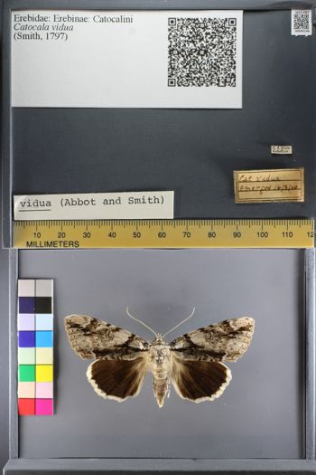 Media type: image;   Entomology 640146